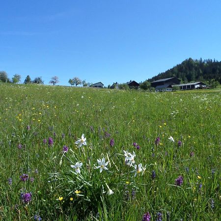 Bauernhof Ablass Göstling an der Ybbs Eksteriør billede